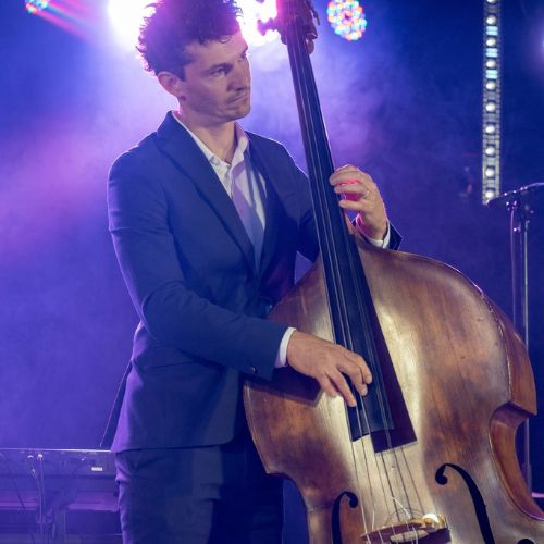 contrebassiste, jazz, chanteur, seine et marne, essonne