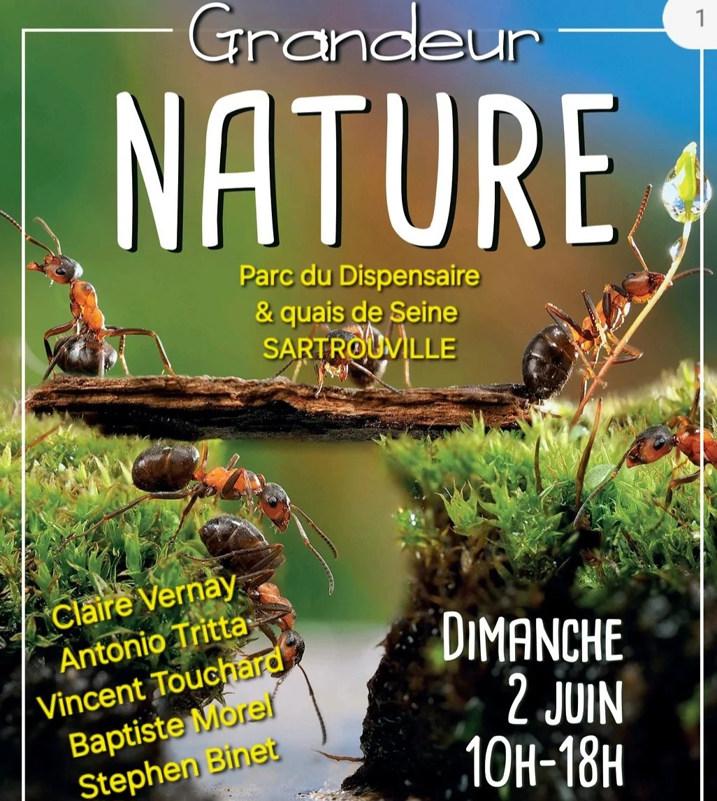 groupe de musique seine et marne, animation musicale