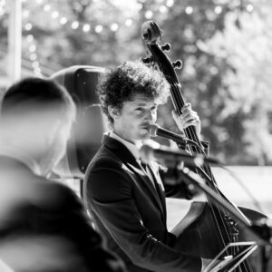 contrebassiste chanteur, chanson française, rock, blues, seine et marne 2