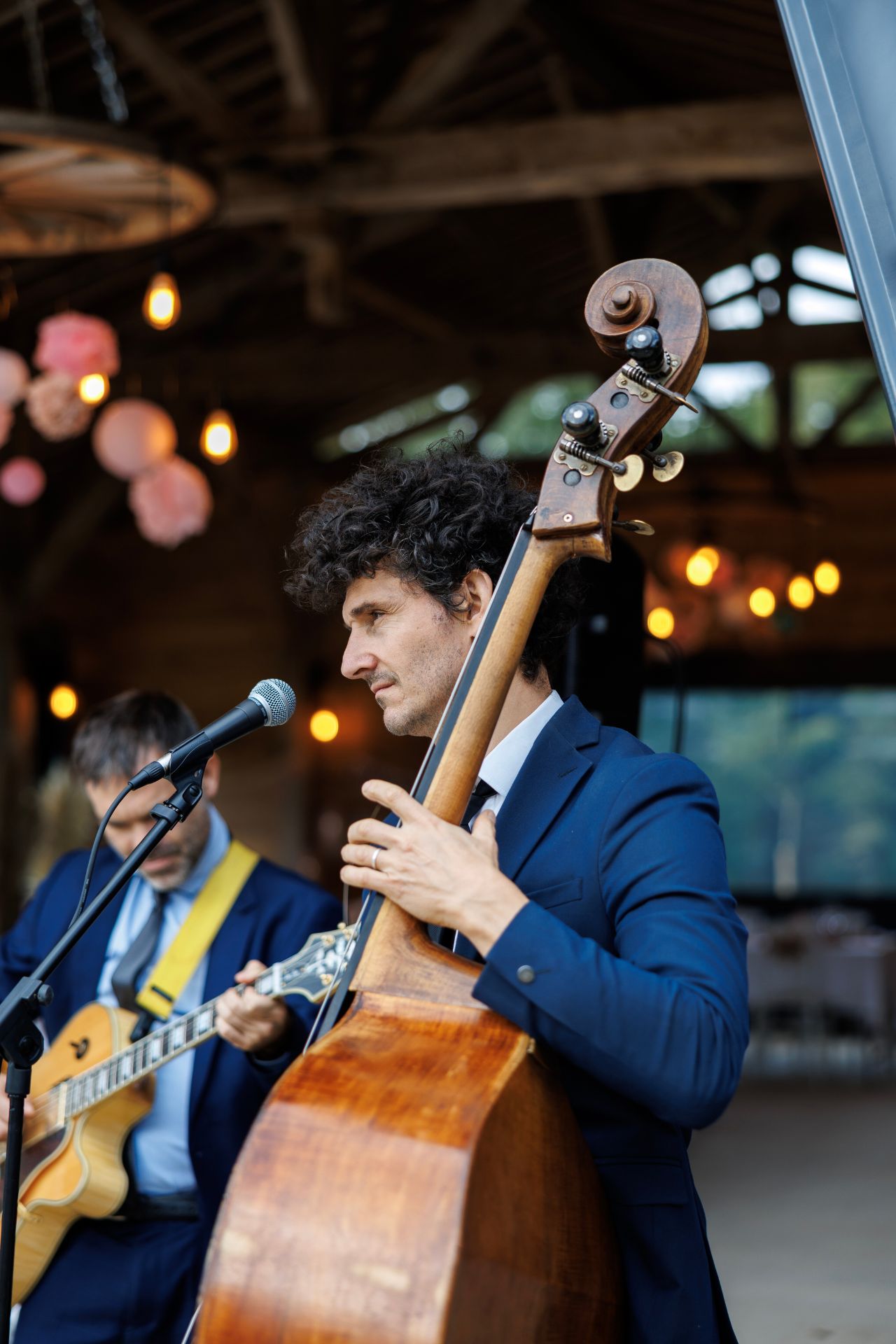 groupe de musique seine et marne, contrebassiste, chanson française