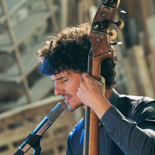 contrebassiste seine et marne, groupe live festif