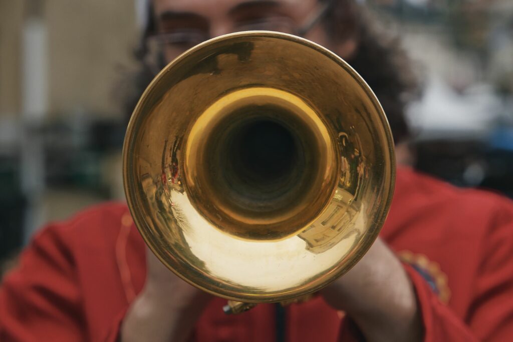 fanfare festive, seine et marne, pays de loire, eure et loire, yonne