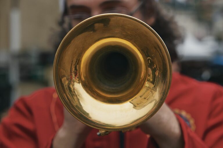 fanfare festive, seine et marne, pays de loire, eure et loire, yonne