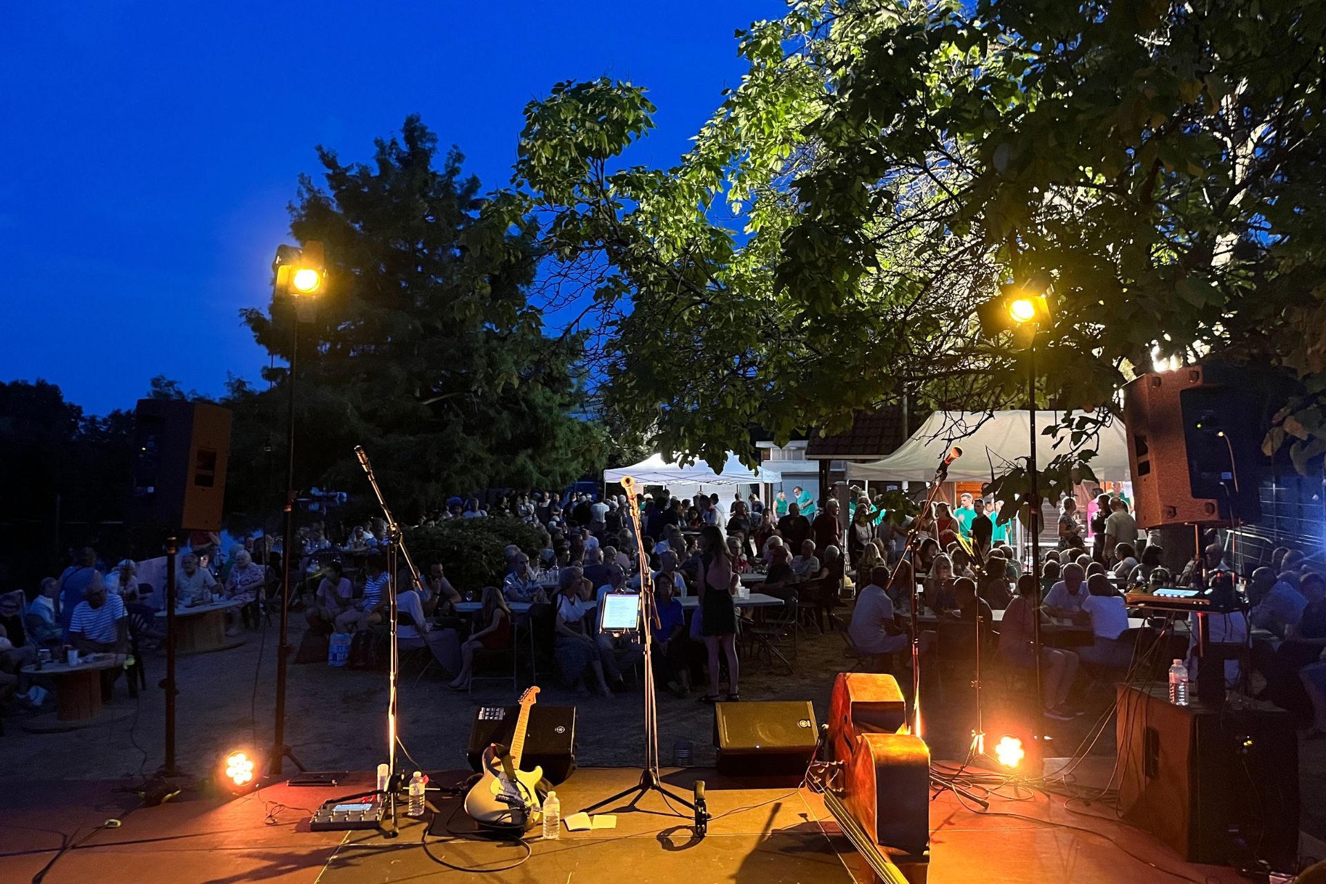 groupe de musique festival, concert, seine et marne idf